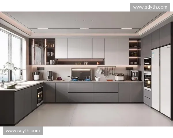 以橱柜整体设计为核心打造高效美观实用的现代家居空间 以橱柜整体设计为核心打造高效美观实用的现代家居空间